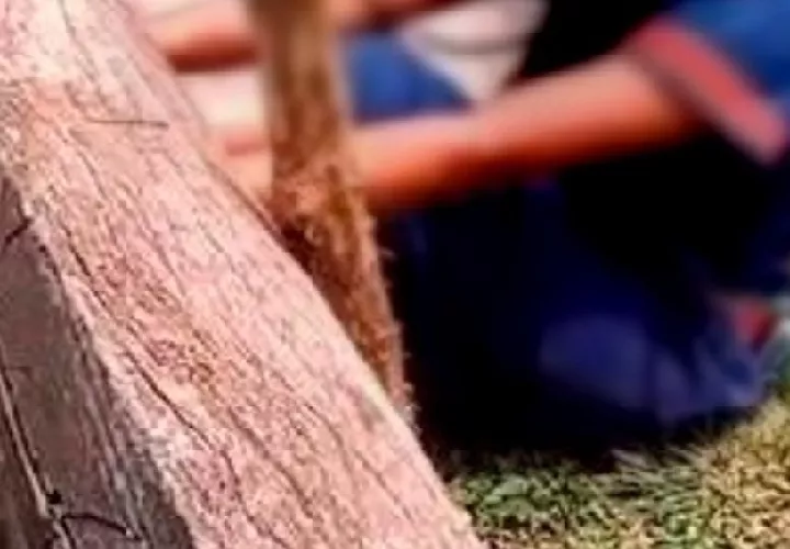 La joven de 14 años de edad fue castigada con el cepo por mala conducta.
