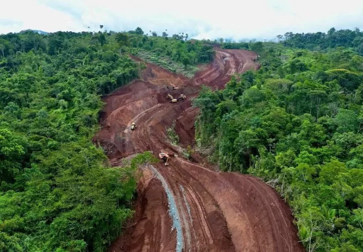 La carretera afecta la biodiversidad de la reserva. Foto: Cortesía 