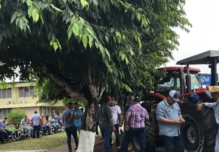 El retiro de la maquinaria ocurre luego de que los productores santeños de maíz decidieron darle una tregua y suspender las medidas de protesta. Foto. Thays Domínguez