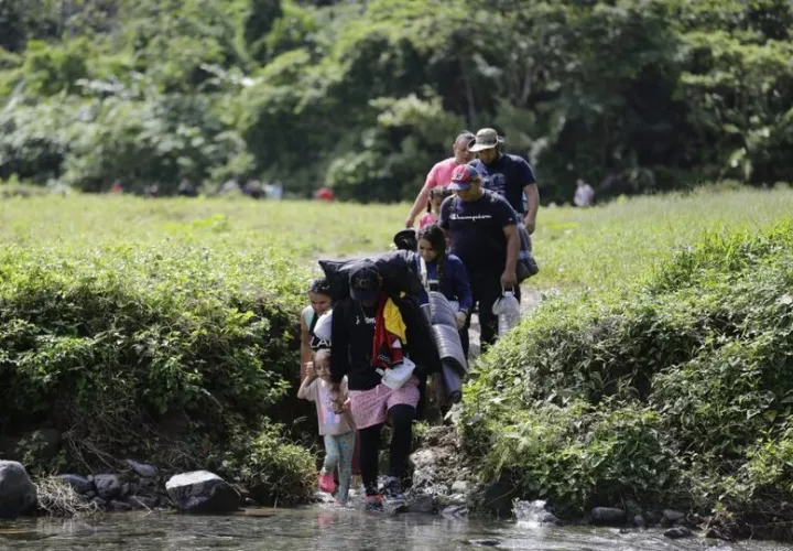 El flujo de migración irregular por Darién sigue en aumento. Foto: EFE