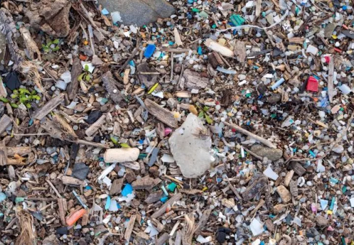 Robots, un enfoque prometedor para eliminar el plásticos y las bacterias del agua. Foto: EFE