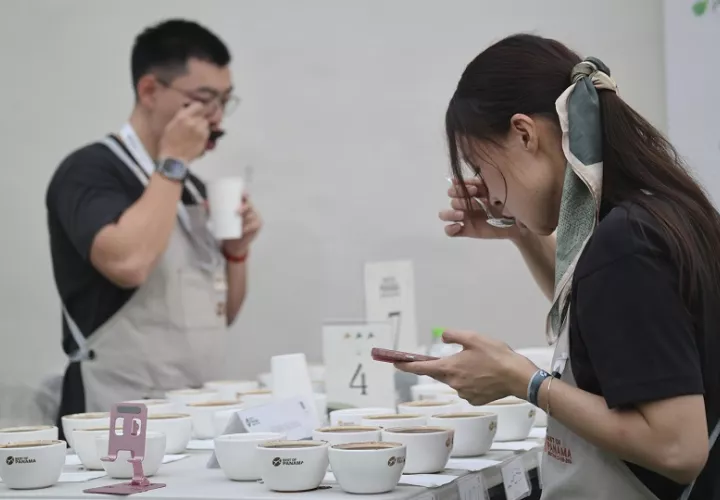 Panamá  ha entrado en el mercado de lujo cafetero, especialmente en Asia. Foto: EFE