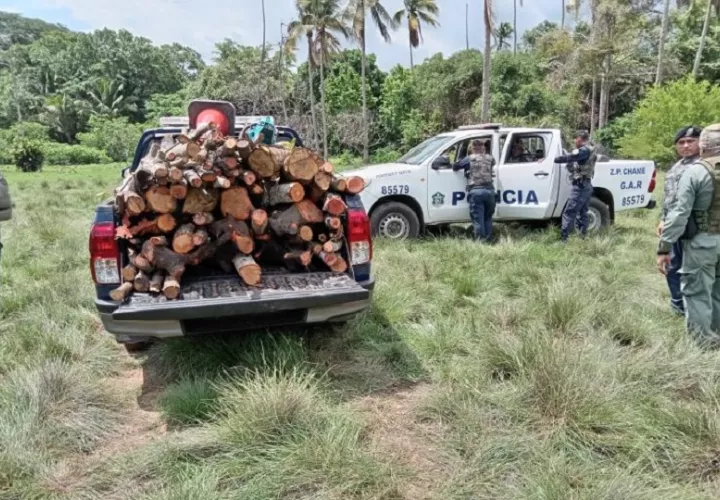 Uno de los detenidos ya había sido procesado en el 2020 por la comisión de este delito ambiental, confirmó el Ministerio de Ambiente. Foto. Cortesía. MiAmbiente