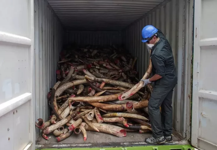 Las operaciones ilícitas contribuyen a la degradación del medio ambiente. Foto: EFE