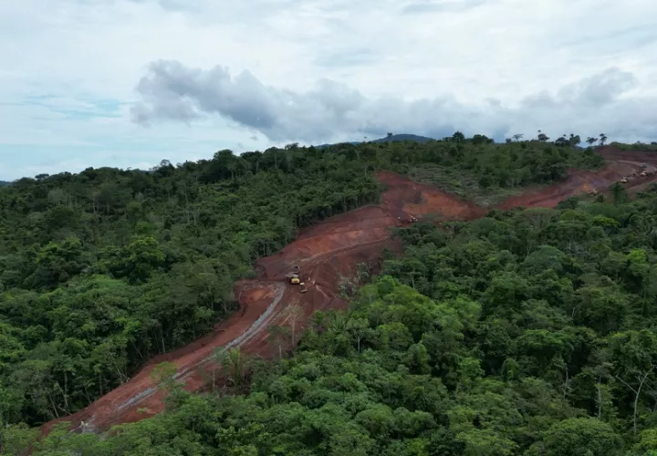 La carretera tiene en alerta a los ambientalistas por los daños que ocasionaría al ambiente. Foto: Cortesía