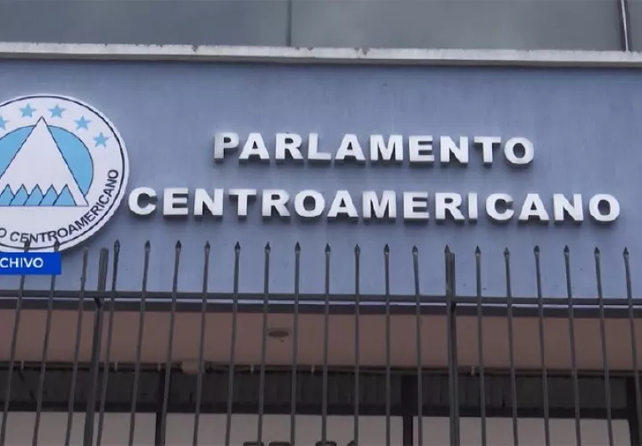 Además de los 20 diputados electos se suman el expresidente y exvicepresidente de la República.