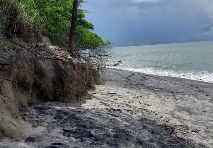 Zonas de estudio son vulnerables a los efectos del cambio climático. Foto: Cortesía