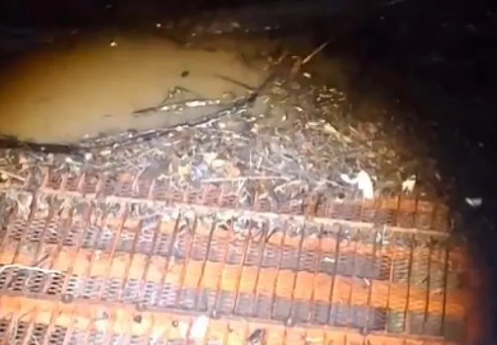 Crecida del río Santa María y arrastre de sedimentos en Veraguas. Foto/Idaan