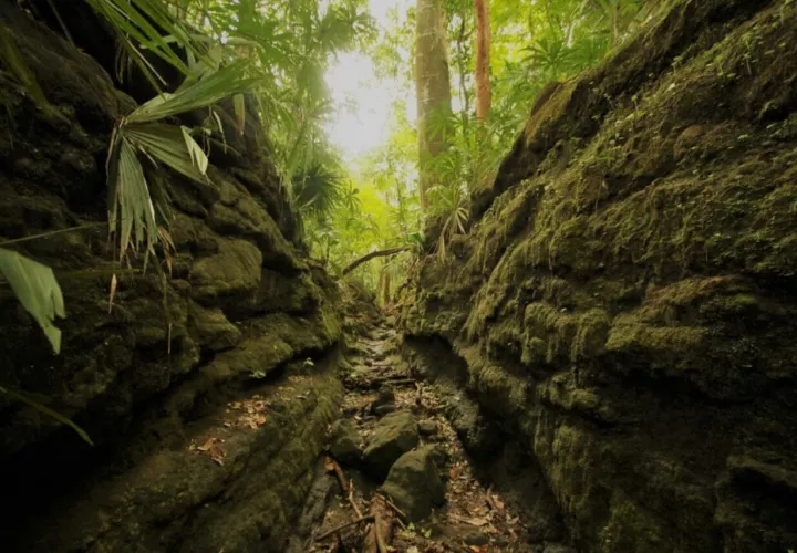 ruta-colonial-transistmica_easy-resize.com_.jpg