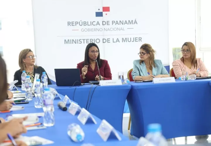 Niurka Palacio expuso su plan estratégico ante directores del ministerio que preside. Foto: Cortesía
