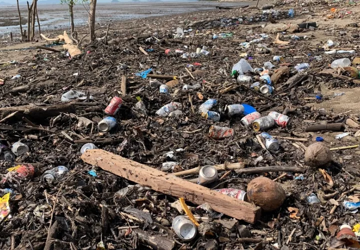 La situación ambiental en Panamá es terrible, recalcó el ministro de Ambiente, Juan Carlos Navarro. Foto: Archivo