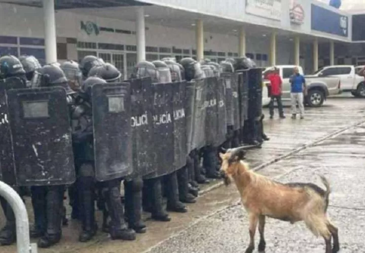 Los dueños de las 60 hectáreas de terreno en varias oportunidades habían protestado exigiendo que se dasalojara a los invasores de su propiedad. Foto. Archivo