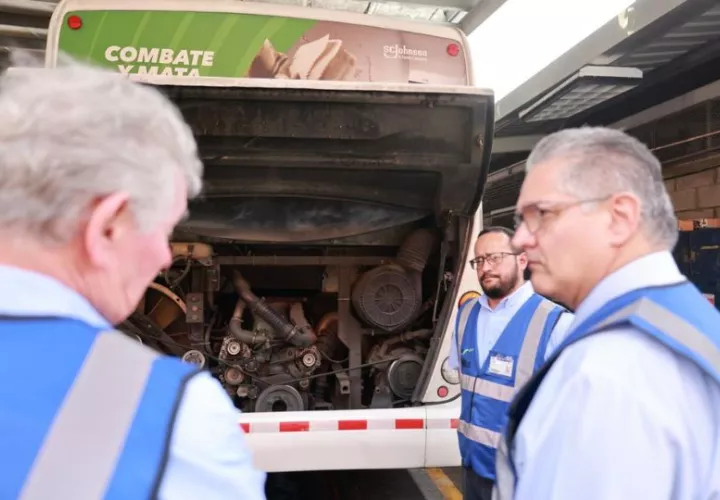 Unos 130 buses se han reincorporado a la flota. Foto: Cortesía