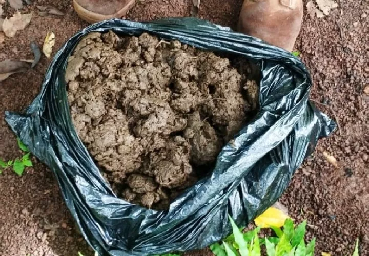 Se espera que las investigaciones continúen en las próximas horas, y no se descarta que haya más aprehensiones conforme se desarrolle el caso. Foto. Senan