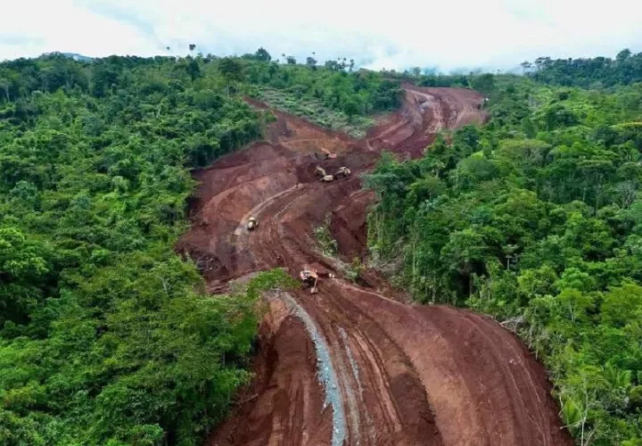 Los conservacionistas, precisan que no se trata oponerse al avance, sino de buscar alternativas que no afecten la alta biodiversidad de la zona y contribuyan a un desarrollo sostenible. Foto. Archivo