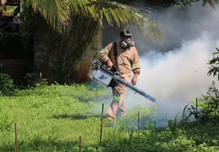 Los casos de dengue podrían seguir en aumento. Foto: Cortesía/Minsa