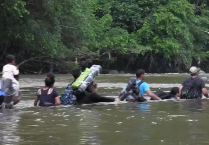 Migrantes continúan atravesando la selva del Darién. 