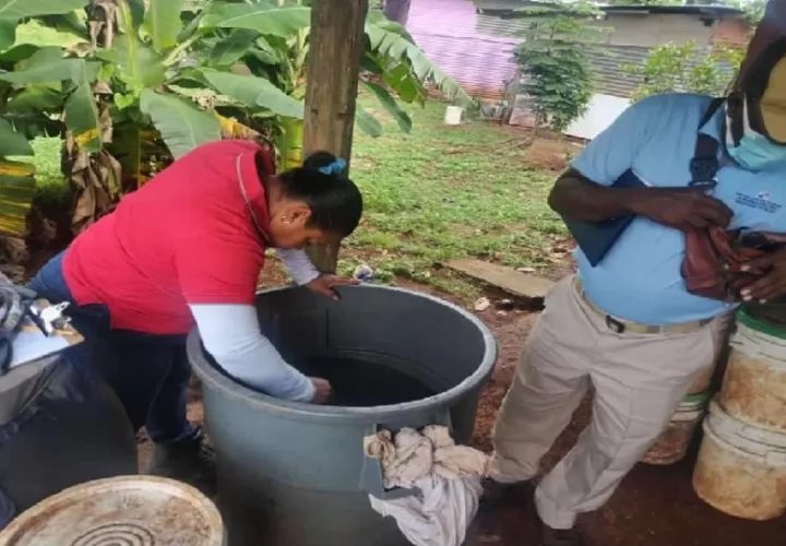 El distrito de Arraiján registra un aumento de casos de dengue.