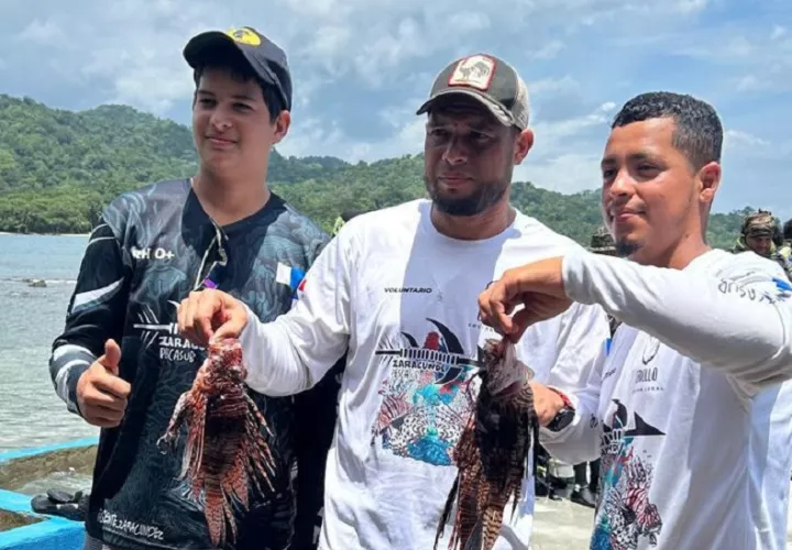 Este tipo de eventos está encaminado a capturar este animal acuático conocido como el “pirata del Caribe". Foto: DIomedes Sánchez