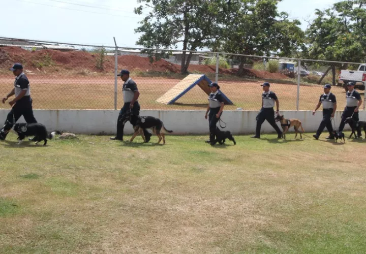 Los perros no son solo mascotas, son compañeros de trabajo. Foto: Cortesía