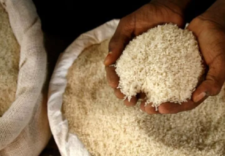 Este es el segundo cargamento de semillas de arroz que aparentemente son trasladados desde Costa Rica a Panamá. foto. Ilustrativa