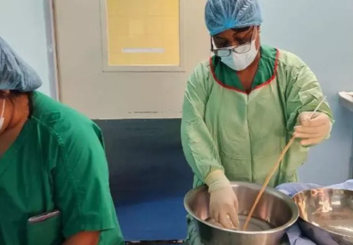 La empresa LeMaitre incursionó en la fabricación y preparación de tejidos de injertos biológicos.  Foto: CSS