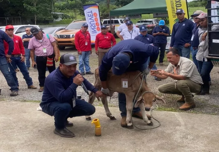 En la actividad, se enfatizó la importancia de recolectar muestras. Foto:Cortesía