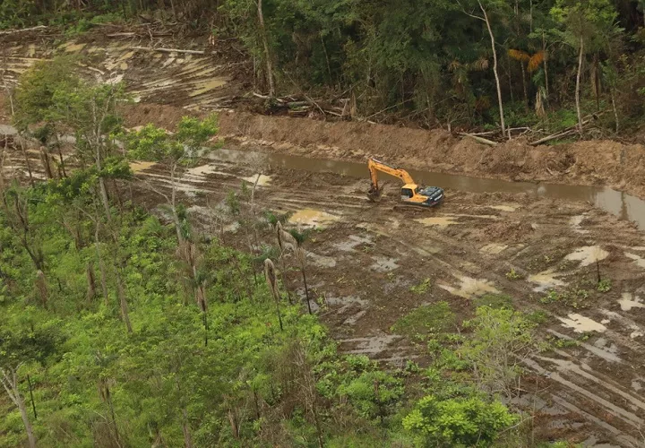 Detectan posibles daños ambientales en humedales y bosques en Darién. Foto: Cortesía