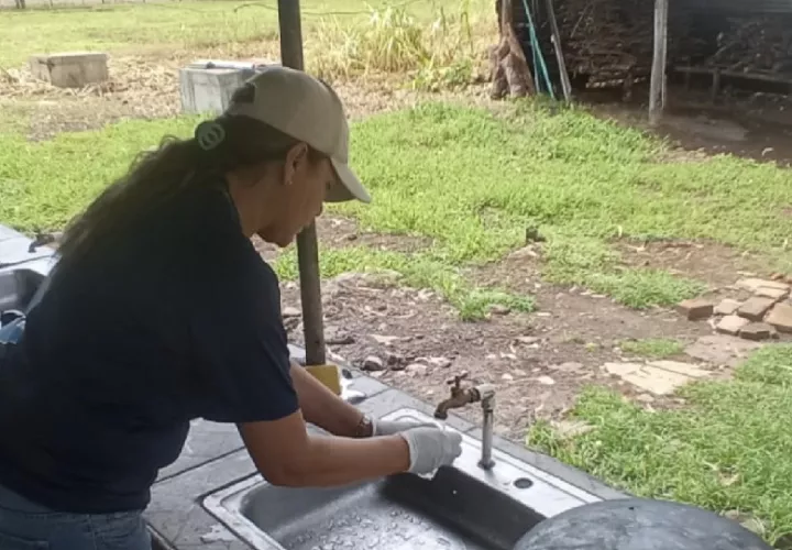 Los residentes de este sector de la provincia indicaron que tienen temor de que puedan presentar enfermedades por parásitos. Foto. Thays Domínguez