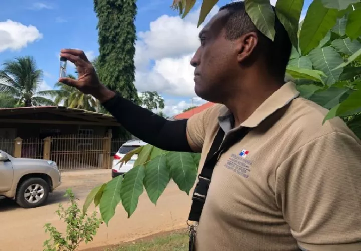 se han reforzado las campañas de concienciación y educación comunitaria para que los residentes adopten medidas preventivas, como eliminar agua estancada en sus patios y predios. Foto. Thays Domínguez