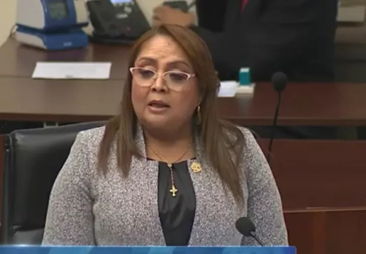 Dana Castañeda es la proponente del proyecto. 