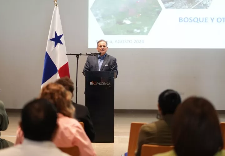 La información, respaldada por imágenes satelitales y análisis geoespacial, destaca el impacto devastador en regiones críticas. Foto:Cortesía