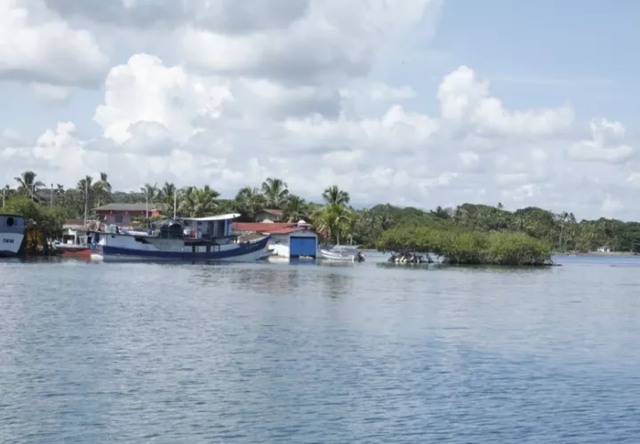 Pescadores deben adoptar medidas para  proteger a las especies marinas. Foto: Cortesía