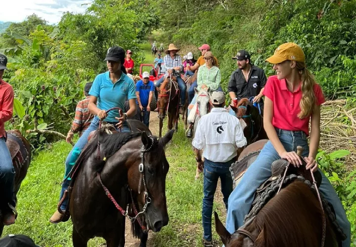 Los turistas pueden disfrutar de una serie de actividades en estas fincas. Fotos/ Eric Montenegro