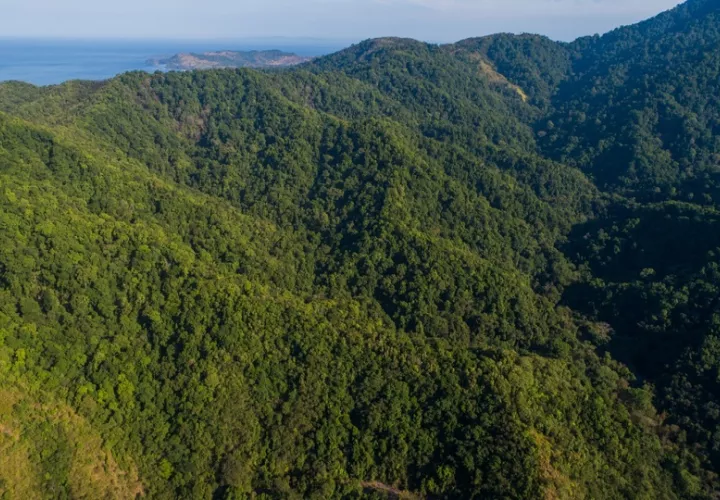 Los usuarios pueden ingresar al sitio oficial de MiAmbiente. Foto:Cortesía
