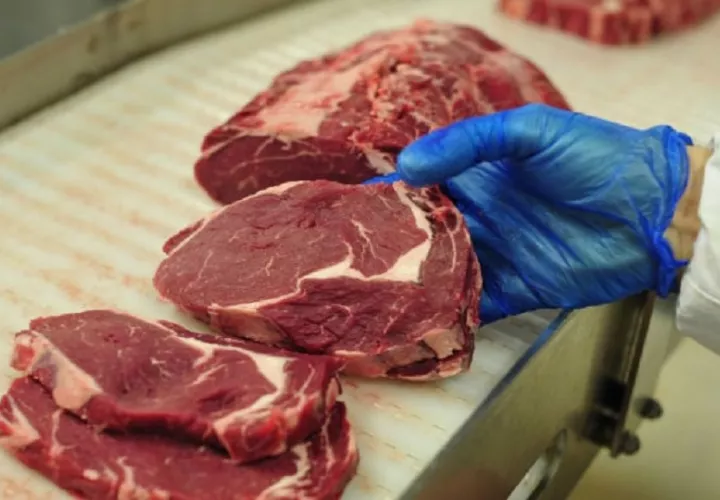 La carne panameña no se puede exportar a Estados Unidos. Foto: Archivo