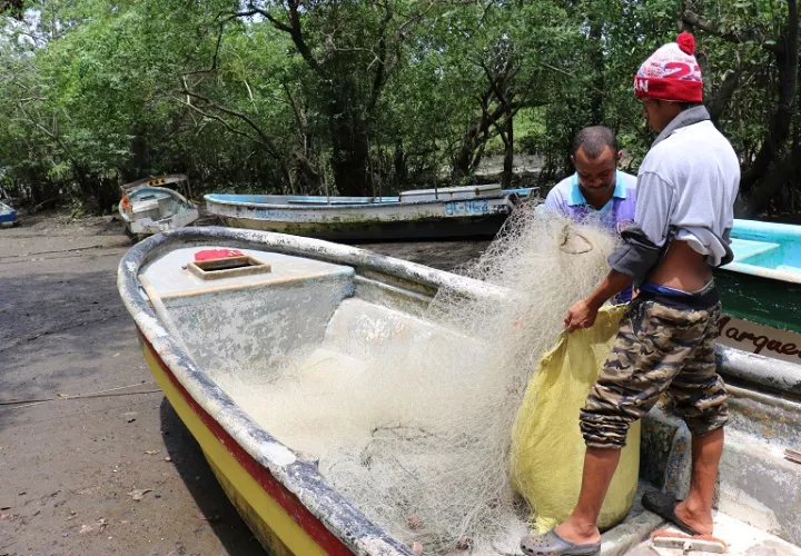 La ARAP coordina con pescadores artesanales para prevenir accidentes con ballenas. Foto: Cortesía/ARAP