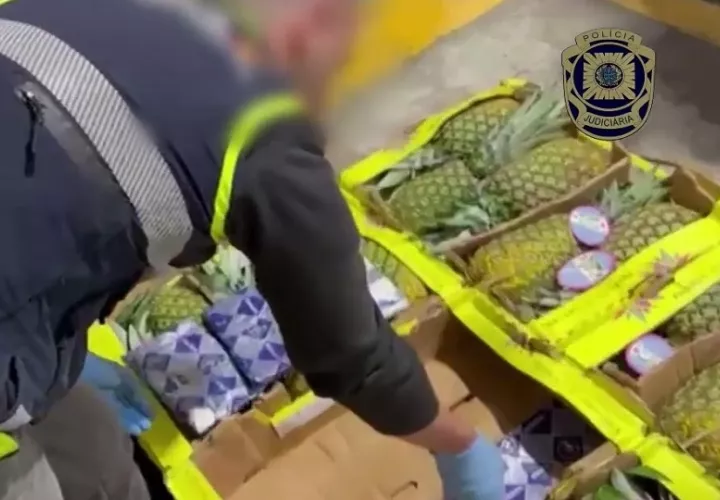 La droga estaba escondida en  las cajas de la fruta. Foto: Cortesía 