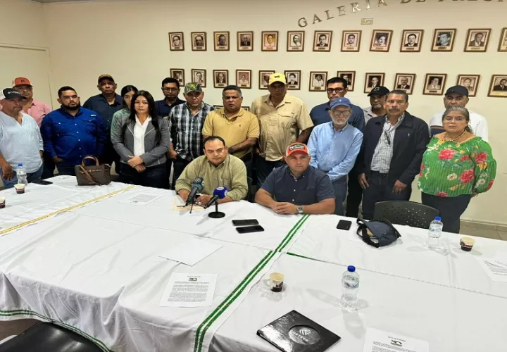Más de 1,500 productores de arroz en Panamá ha levantado una su preocupación en el sector agrícola. Foto/Cortesía.