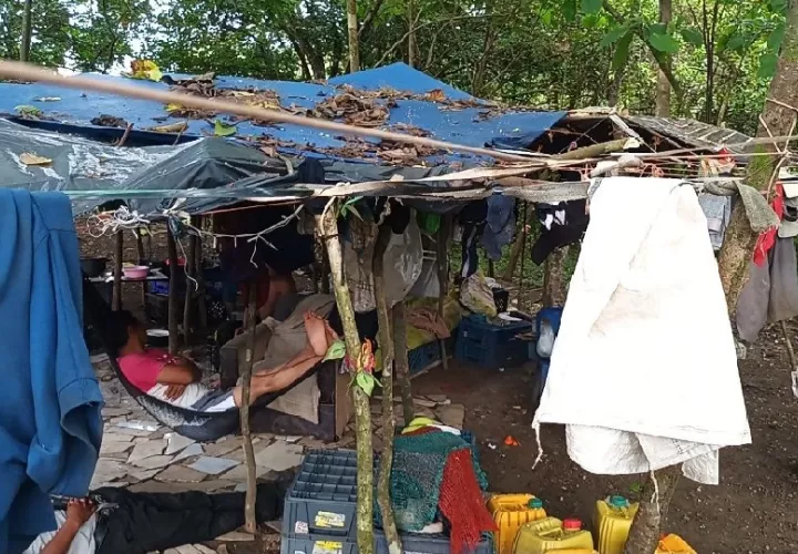 Los jóvenes de las comunidades de: Guázaro, Río Veraguas, Calovébora y Bocas del Toro, aseguran que su única intención es encontrar un empleo. Foto. Melquiades Vásquez