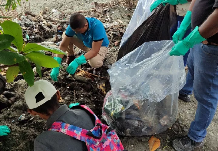 Esta limpieza de playa en Barú, se desarrolló aprovechando la conmemoración del Mes de los Océanos y el Día Internacional de la Conciencia Ambiental. Foto. Cortesía. MiAmbiente