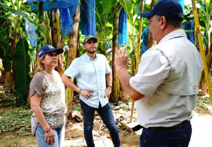 Las provincias de menor contingencia, según información del ISA, son: Bocas del Toro, Colón y Darién. Cortesía