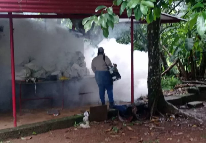 A la fecha en la provincia de Chiriquí se registran un total de 1,206 casos de dengue. Foto. Cortesía Minsa