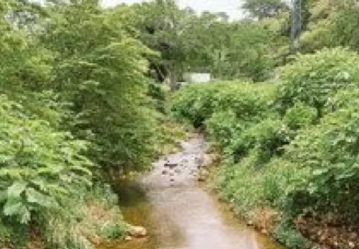  Víctor Saldaña de 65 años, desaparecido desde el viernes en el río Rincón en Dolega, provincia de Chiriquí. Foto. Sinaproc