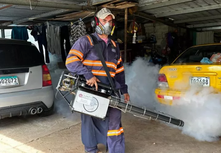 Se realizan fumigaciones para eliminar al mosquito adulto. Foto: Cortesía