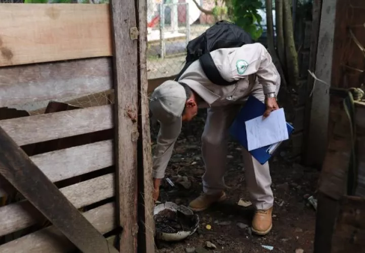 La principal área afectada por la enfermedad es la comunidad de Higuera, ubicada en Chepo. Foto: Cortesía