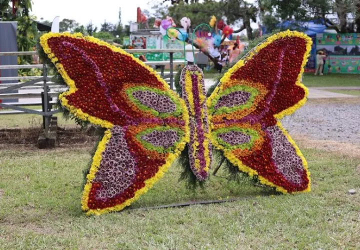 Mariposa hecha de flores. Foto: EFE