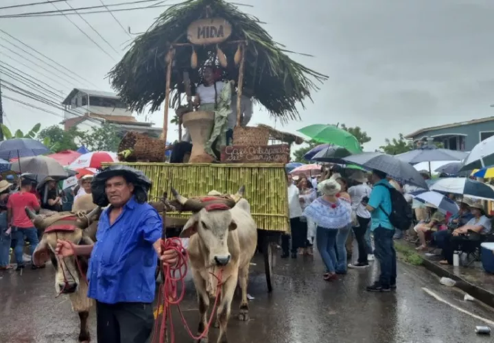 A pesar de la fuerte lluvia, las empolleradas y las delegaciones realizaron el tan esperado desfile . Foto, Thays Domínguez