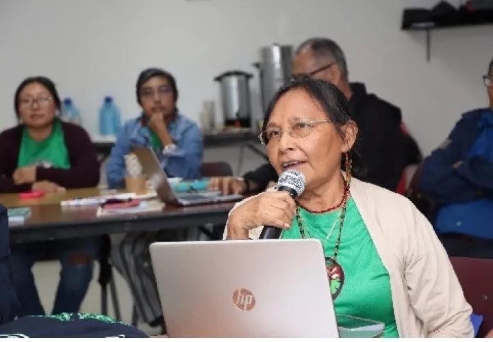 Representantes de las Mujeres Indígenas Unidas por la Biodiversidad de Panamá del pueblo Guna. Cortesía