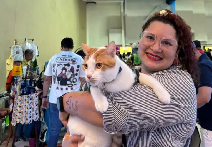 Varias Karens asistieron con sus gatos. Foto: Instagram / @michifestpanama